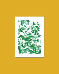 Postcard: The Umbrella Tree
