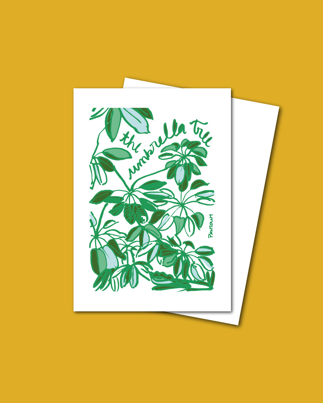 Postcard: The Umbrella Tree