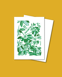 Postcard: The Umbrella Tree
